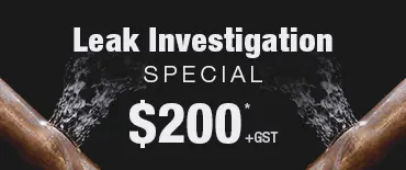 Leak Investigation Discount Pakuranga Heights